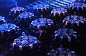 CapitalHLC (9)